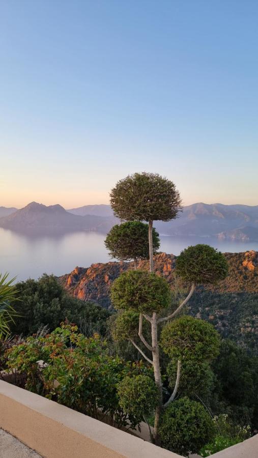 Residence Le Bella Vista بيانا المظهر الخارجي الصورة